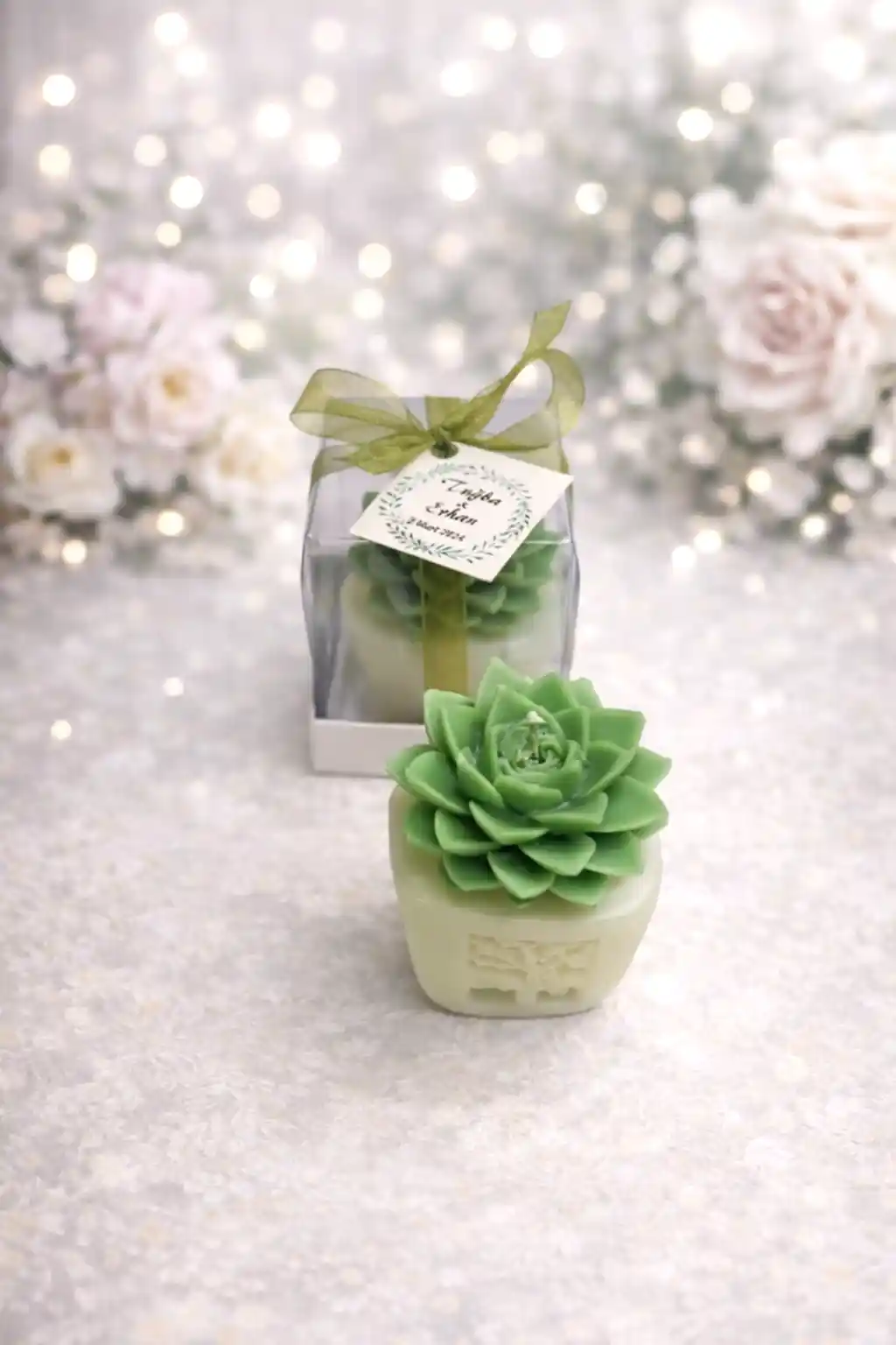 Sukulent Mum Model 4 