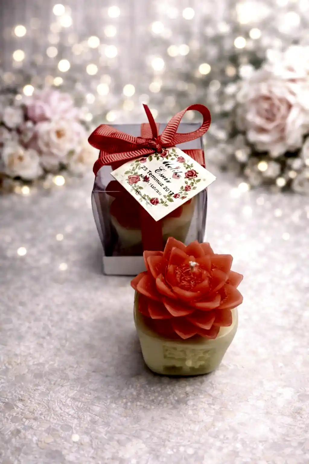 Sukulent Mum Model 4 