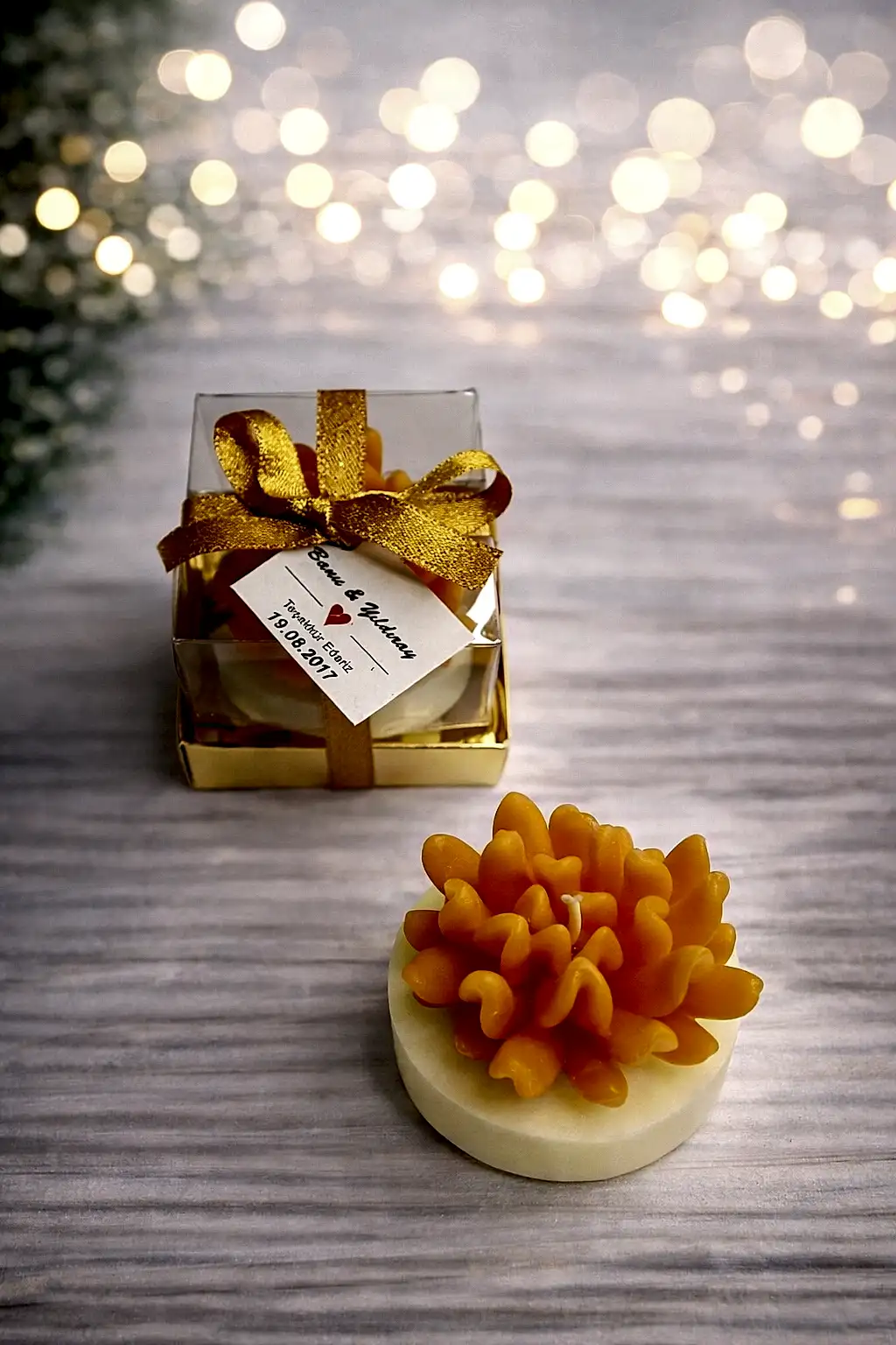 Sukulent Mum Model 14