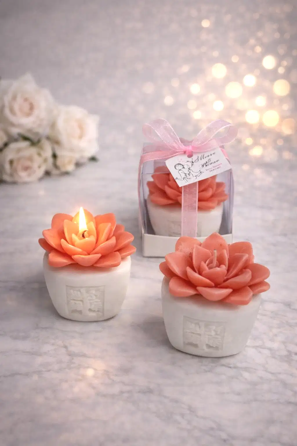 Sukulent Mum Model 6