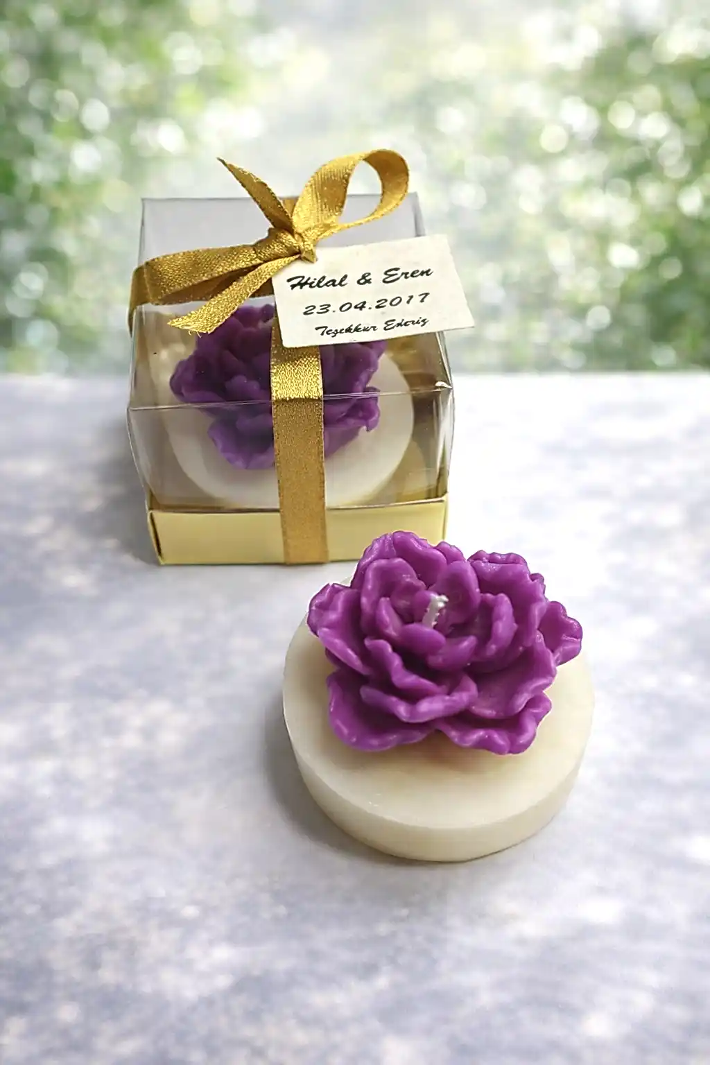 Sukulent Mum Model 13 