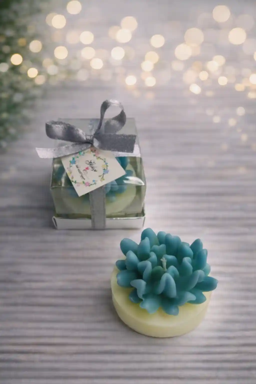 Sukulent Mum Model 14