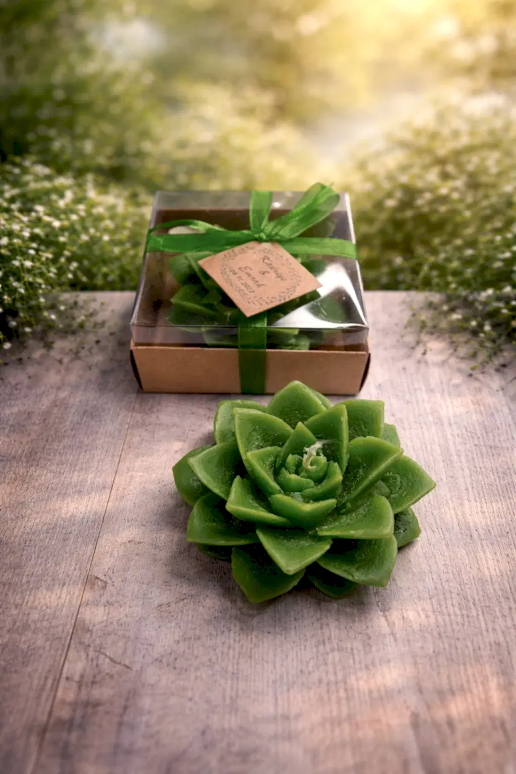 Sukulent Mum Model 8 