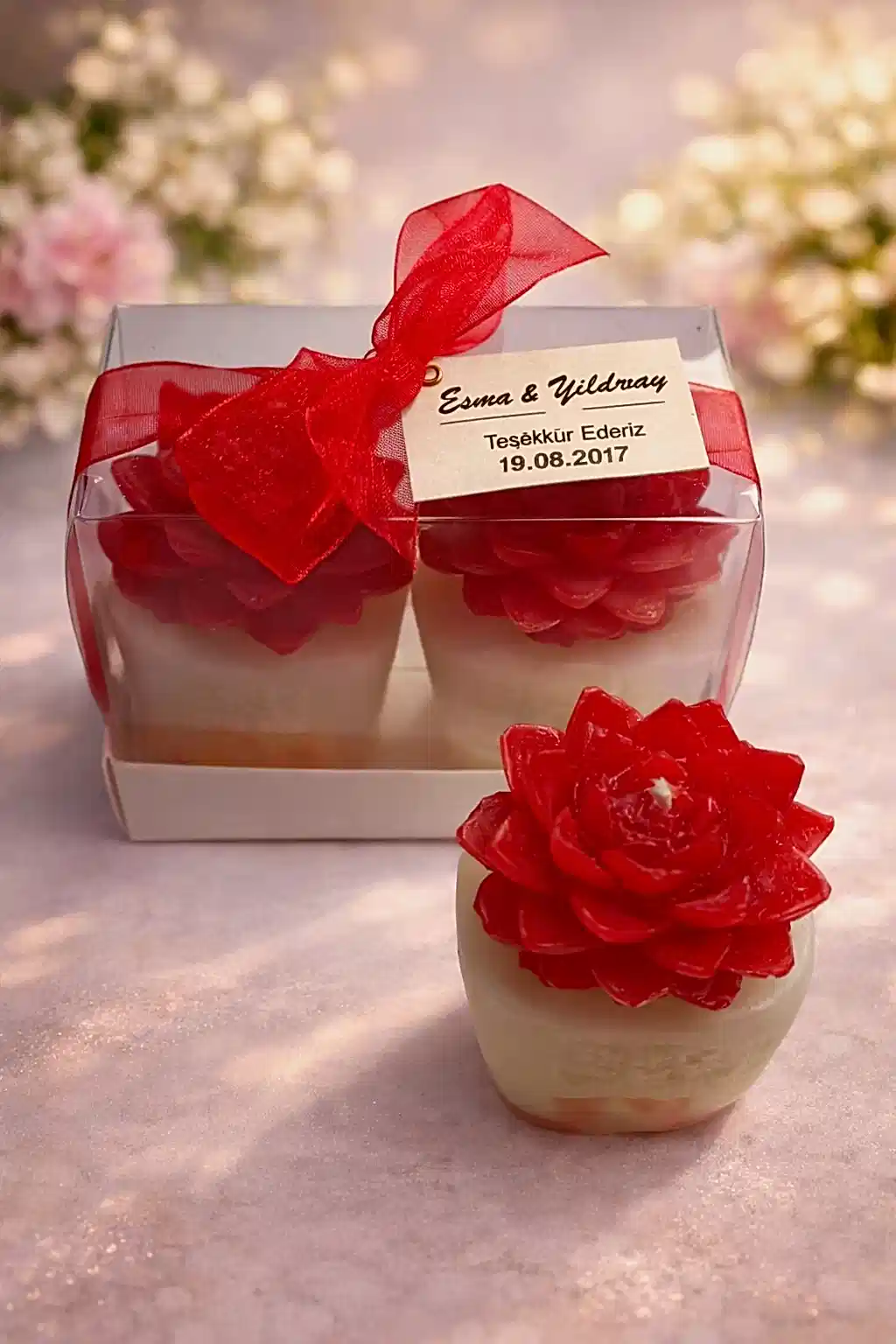 Sukulent Mum Model 4 İkili Set 