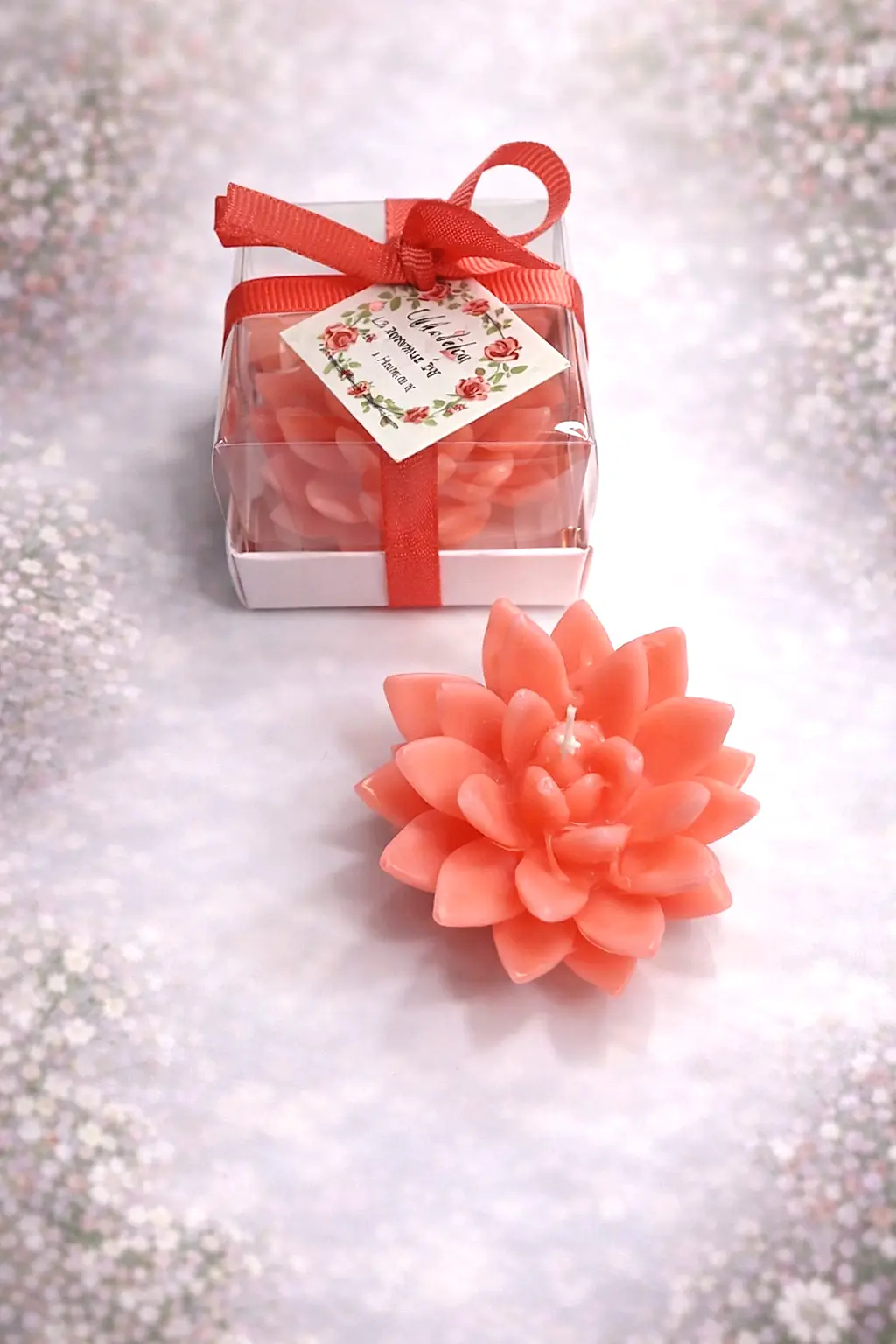 Sukulent Mum Model 12