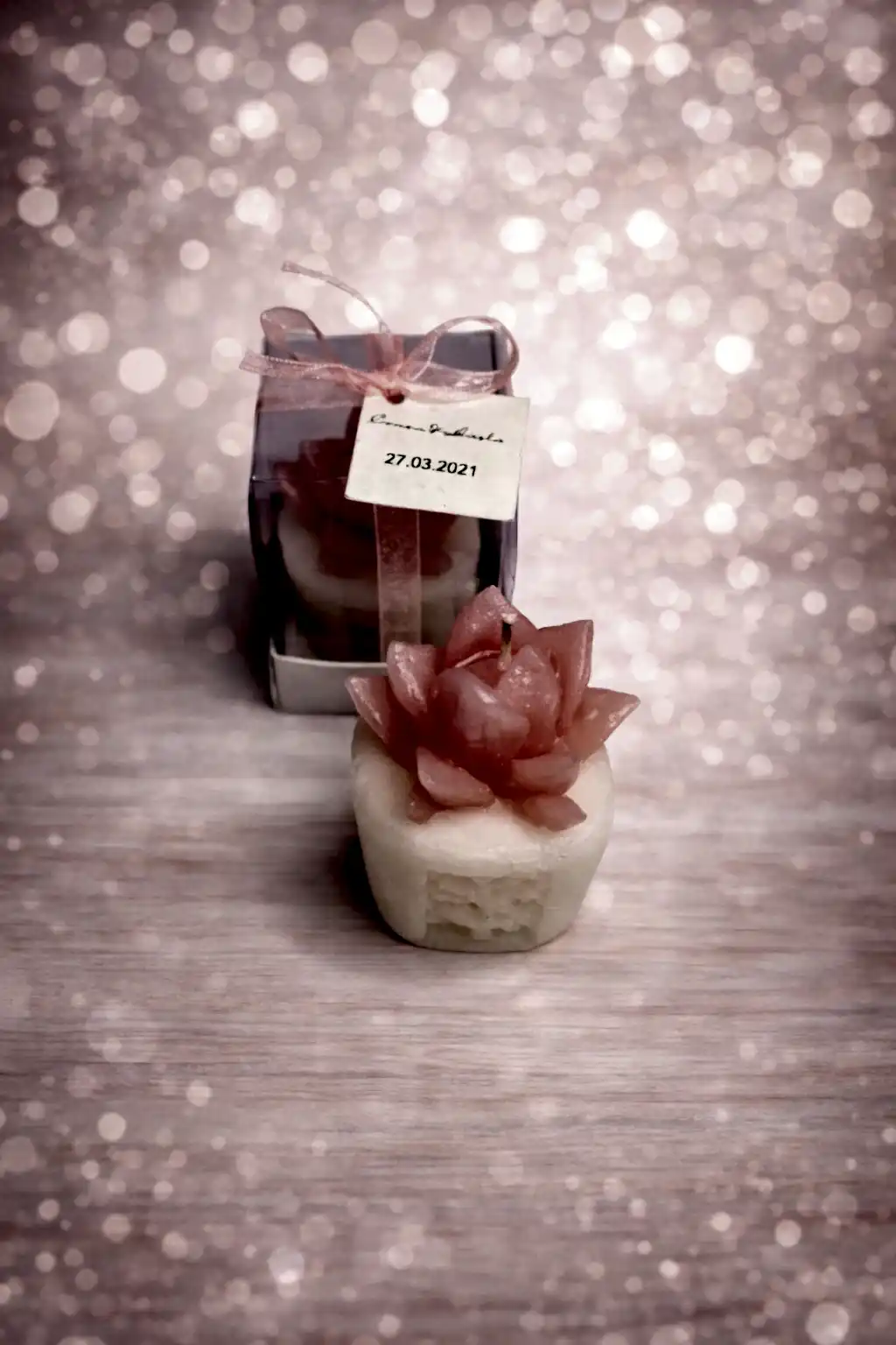 Sukulent Mum Model 3