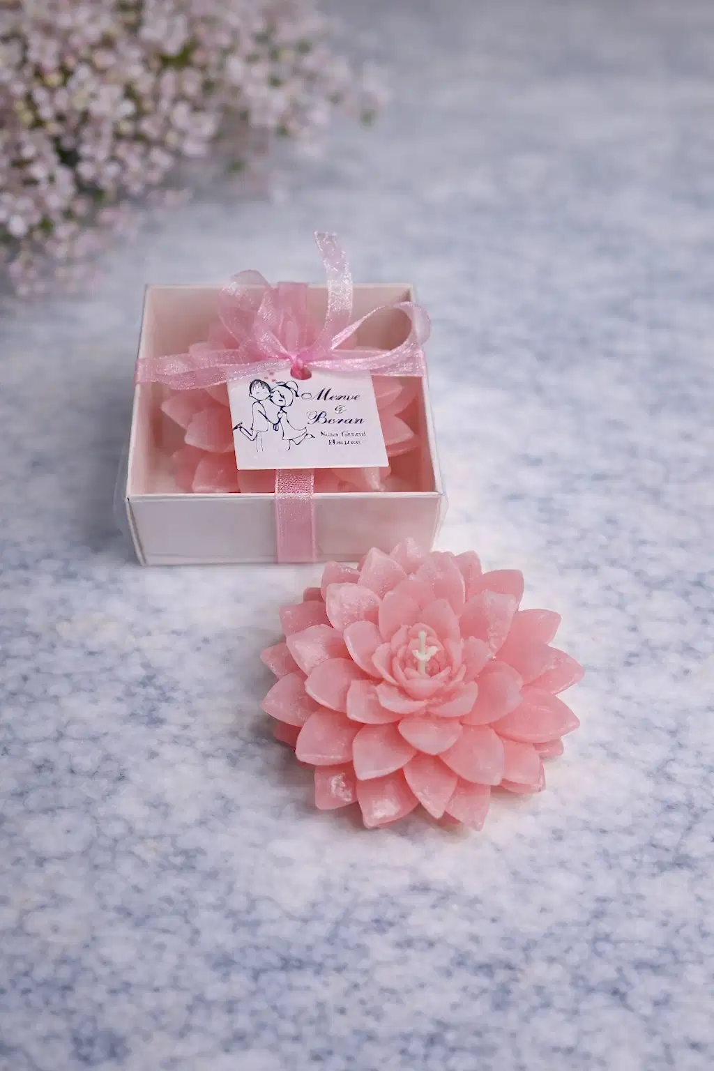 Sukulent Mum Model 9 