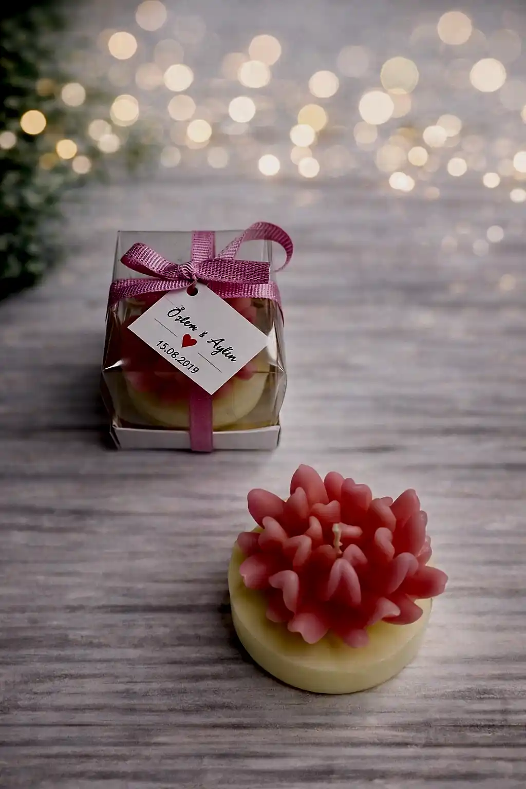 Sukulent Mum Model 14