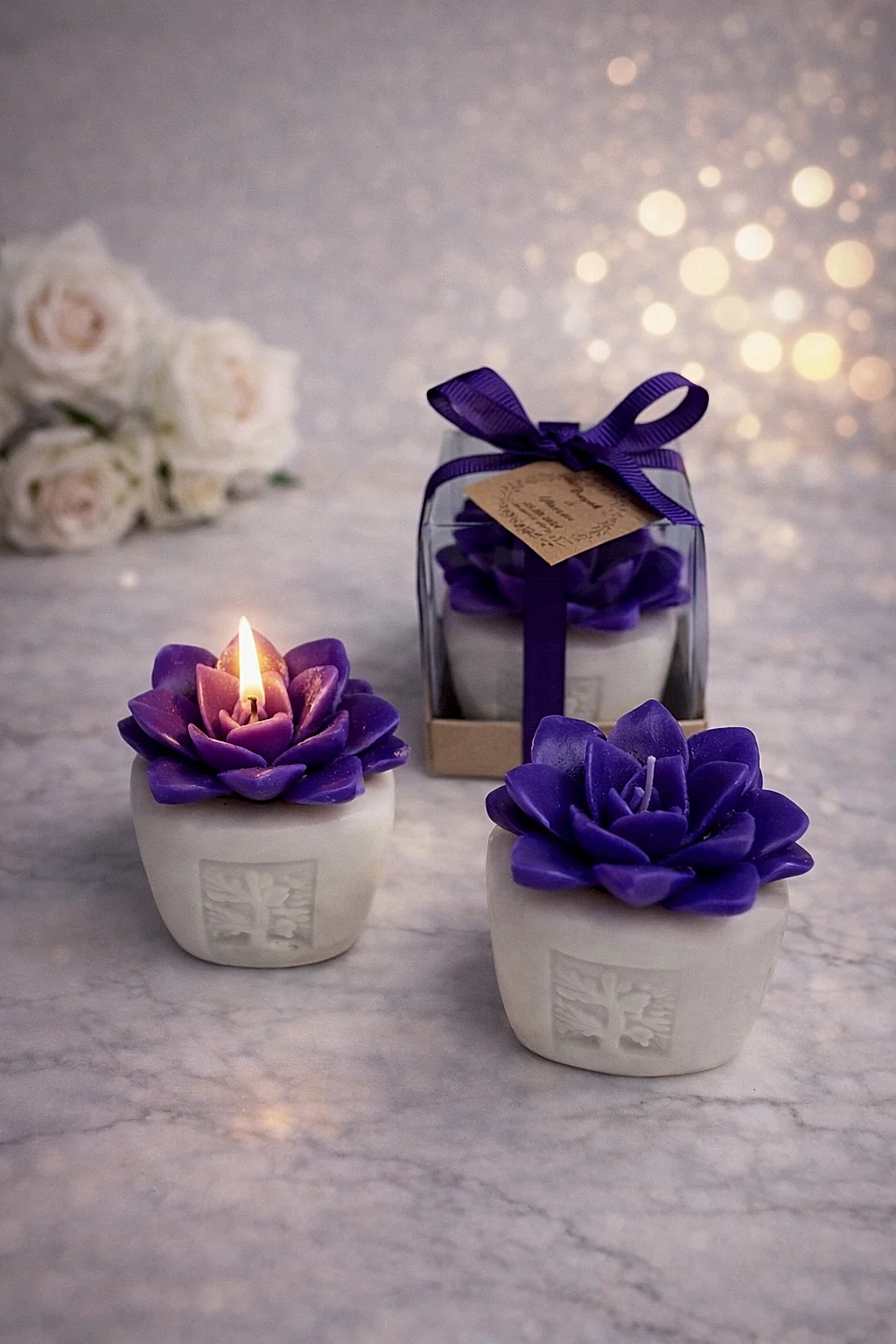 Sukulent Mum Model 6