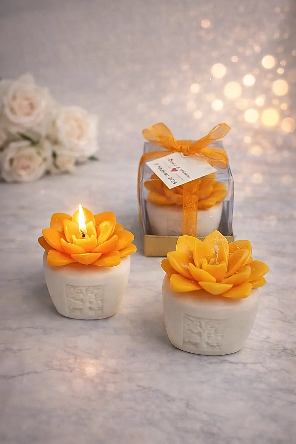 Sukulent Mum Model 6