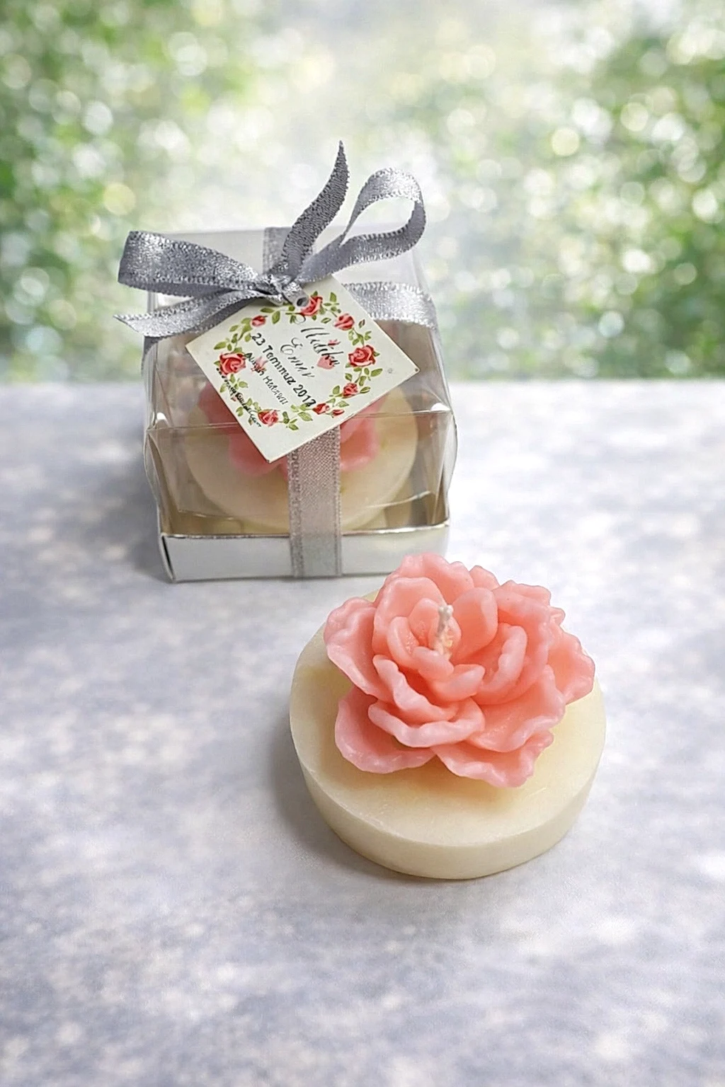 Sukulent Mum Model 13 