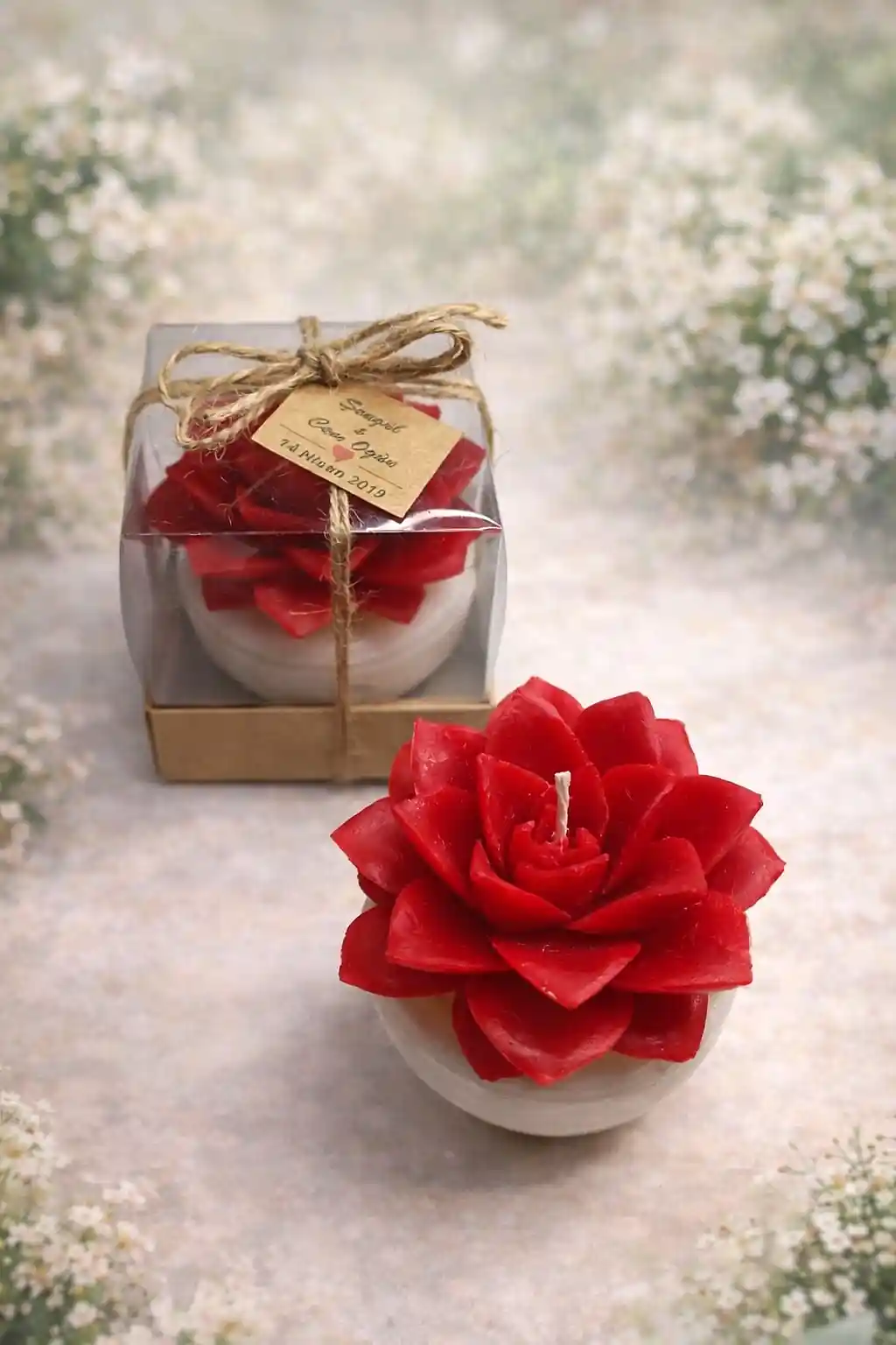 Büyük Boy Sukulent Mum Echeveria 