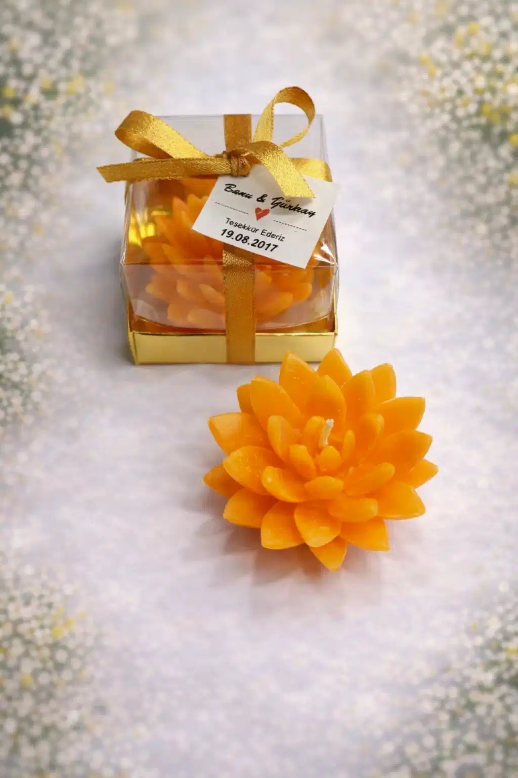 Sukulent Mum Model 12