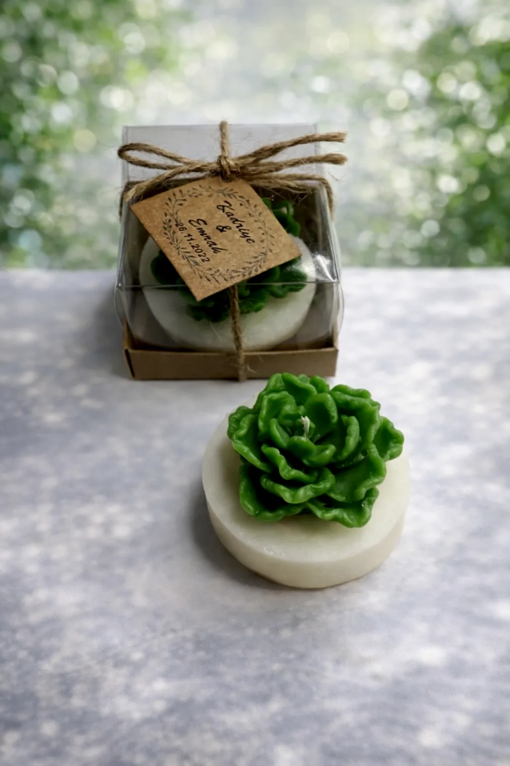 Sukulent Mum Model 13 