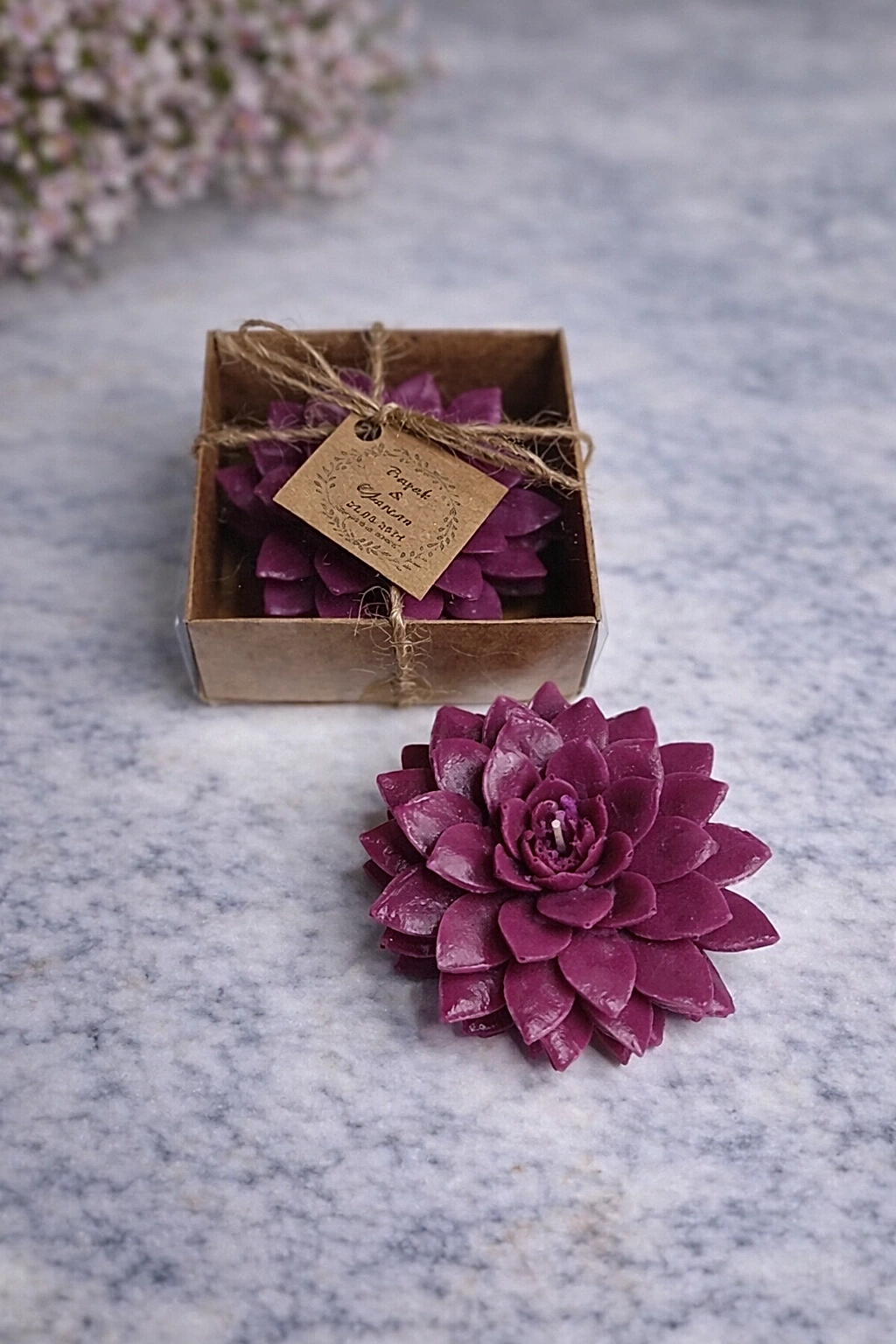 Sukulent Mum Model 9 