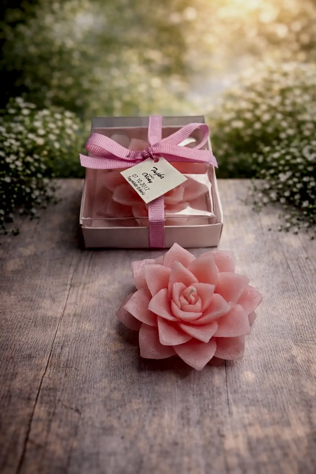 Sukulent Mum Model 8 