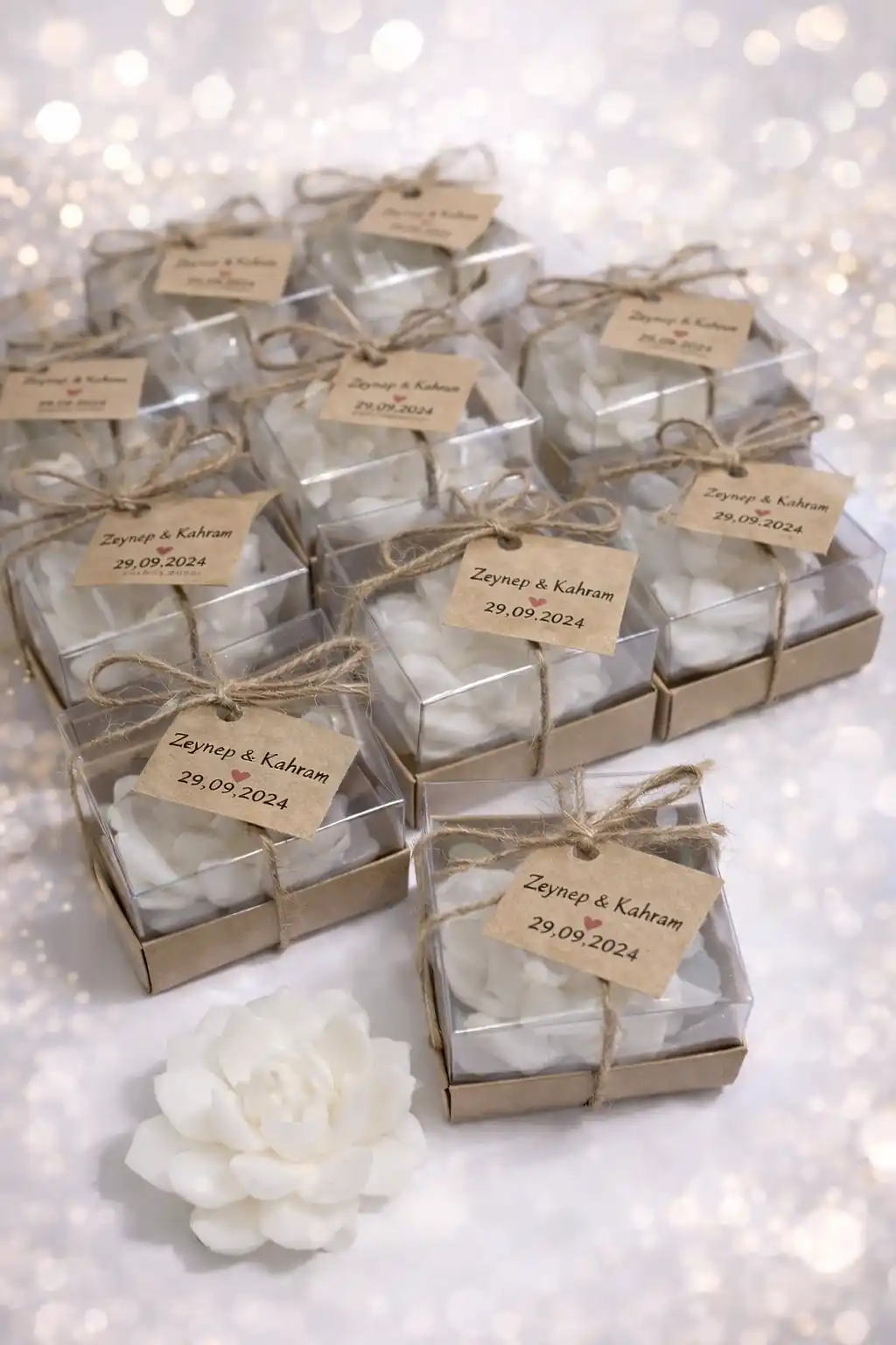 Sukulent Mum Model 10