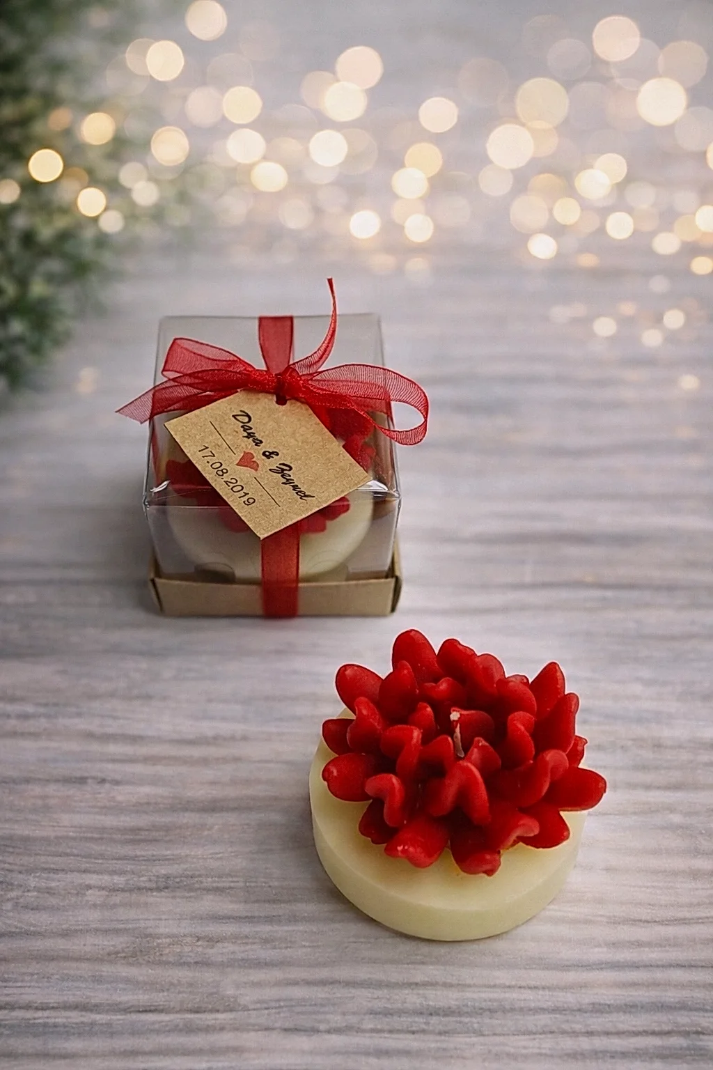 Sukulent Mum Model 14