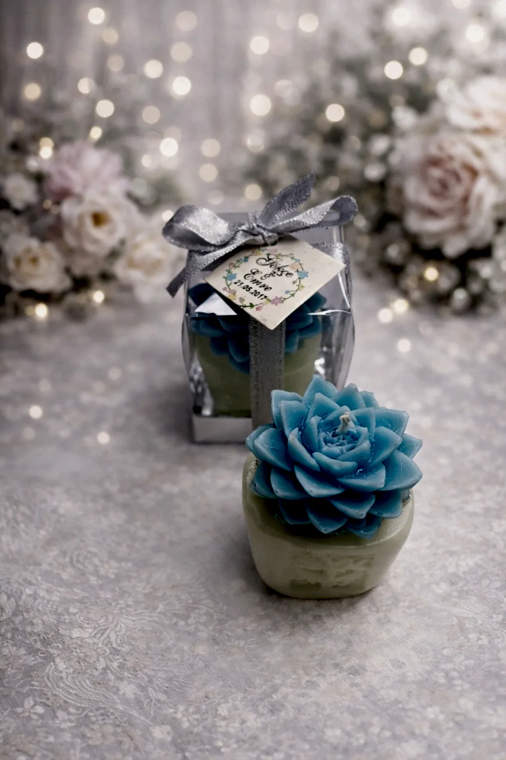 Sukulent Mum Model 4 