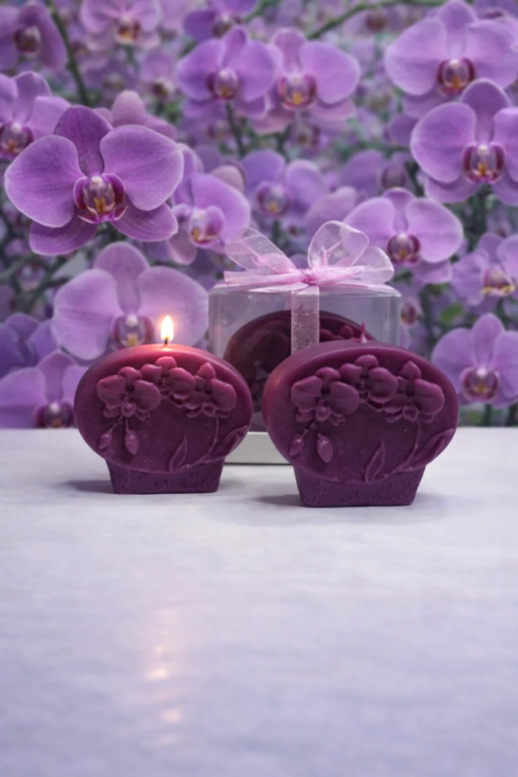 Orkide Mum Phalaenopsis