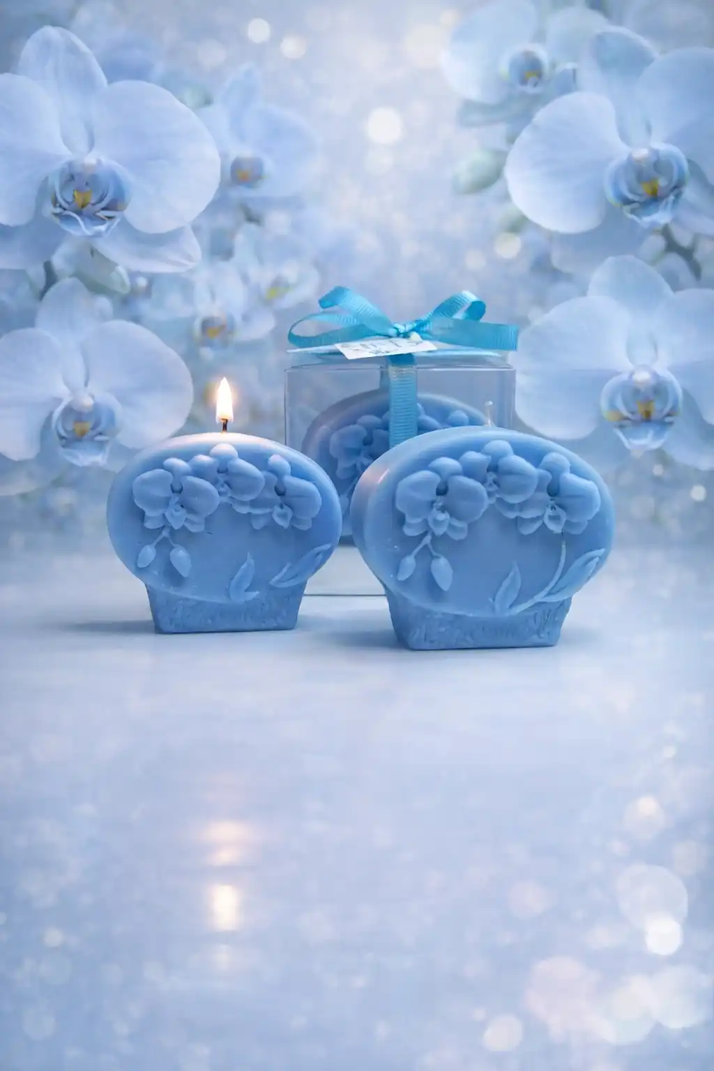 Orkide Mum Phalaenopsis