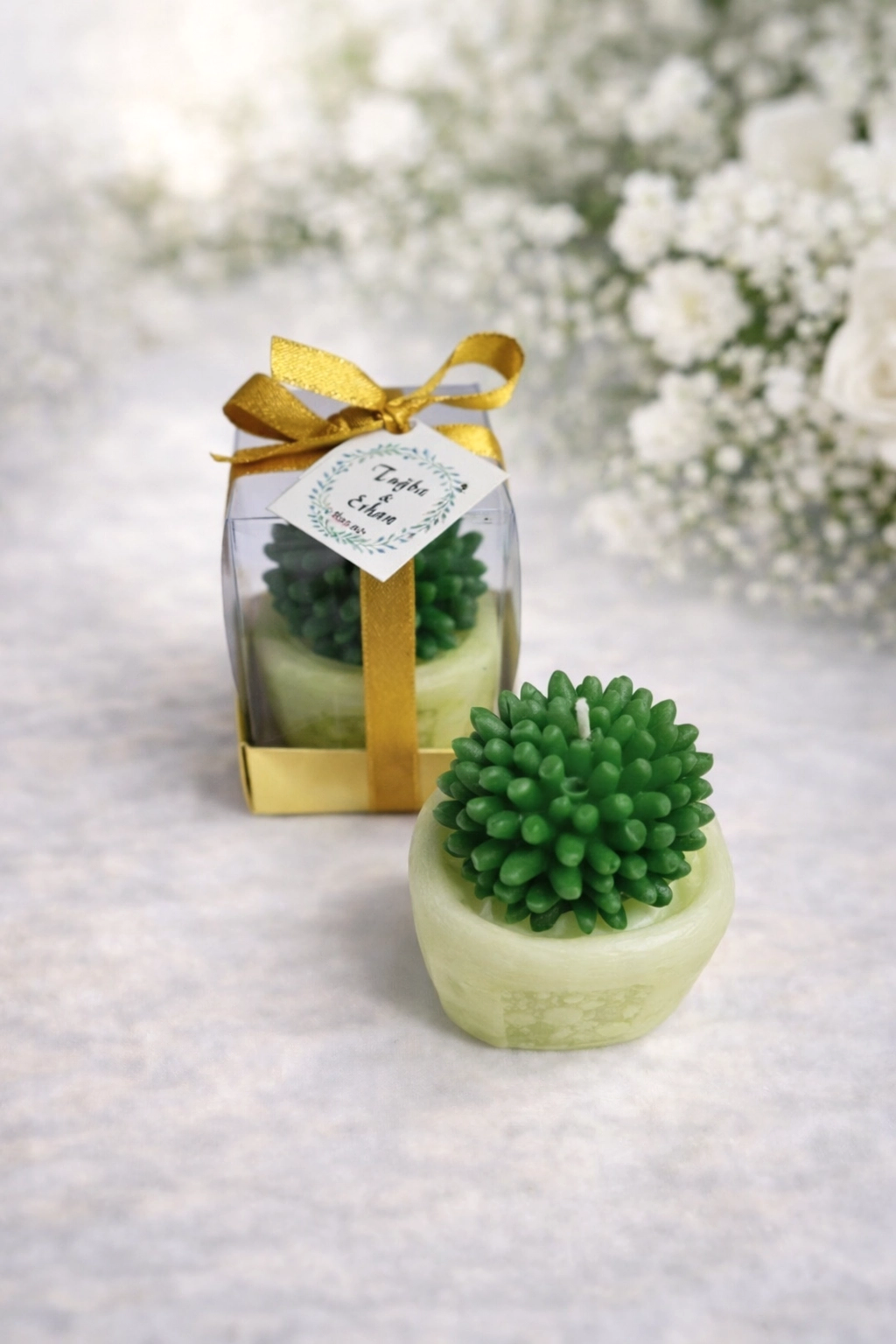 Sukulent Mum Model 2