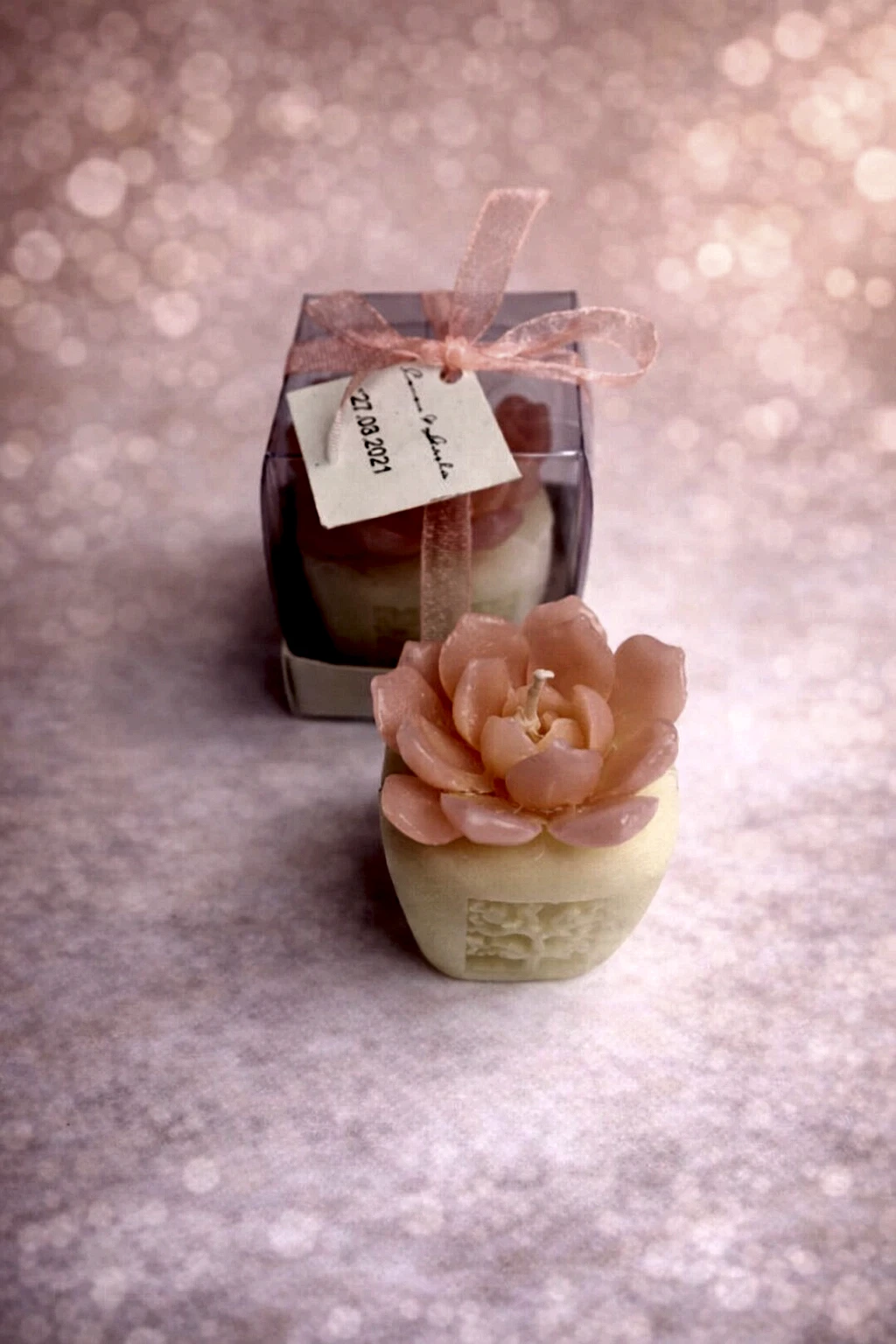 Sukulent Mum Model 7