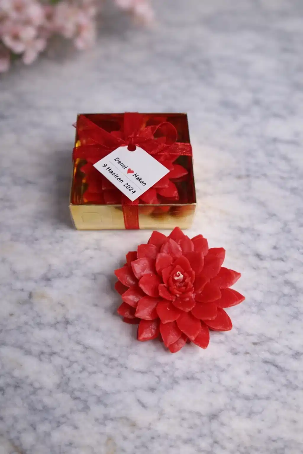 Sukulent Mum Model 9 