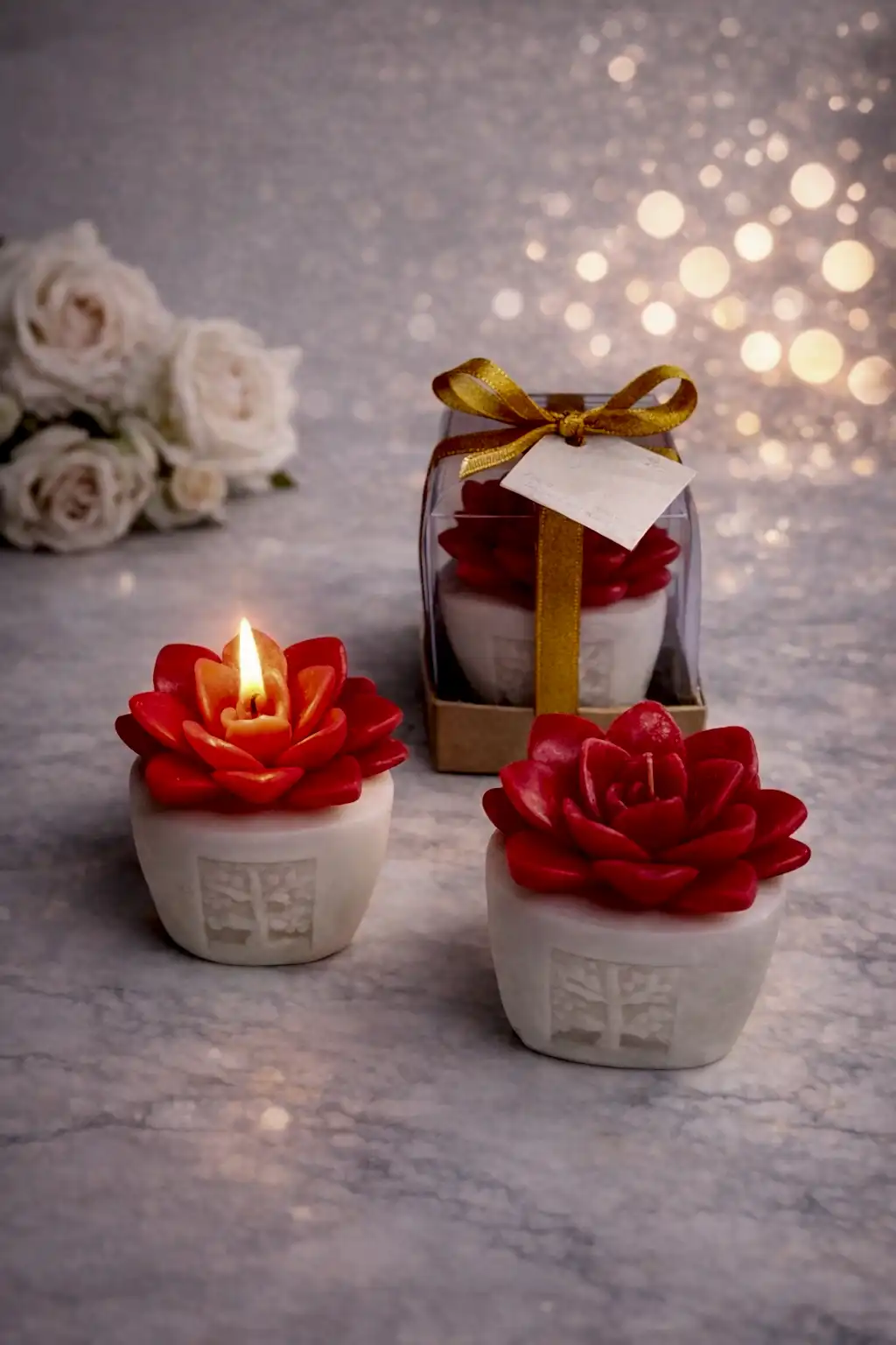 Sukulent Mum Model 6