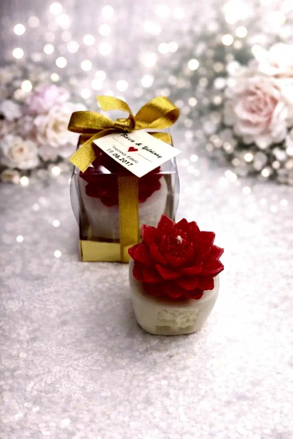 Sukulent Mum Model 4 