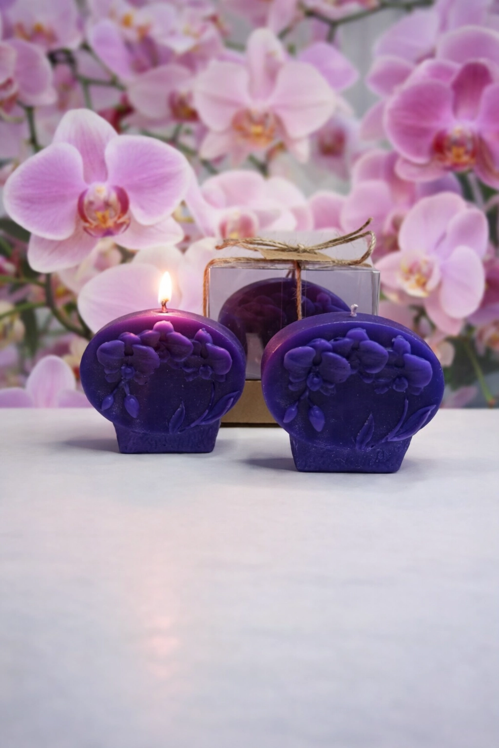 Orkide Mum Phalaenopsis