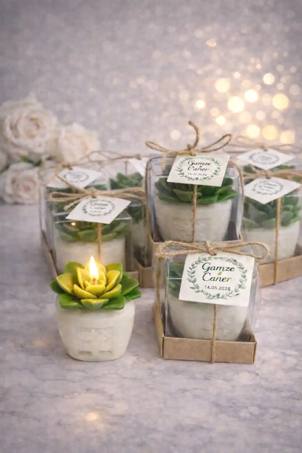 Sukulent Mum Model 6