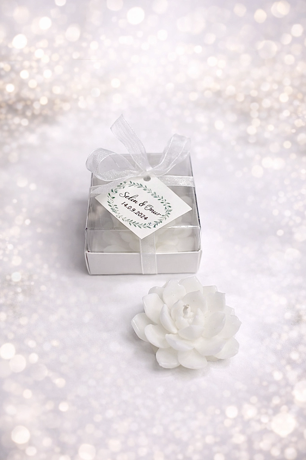 Sukulent Mum Model 10