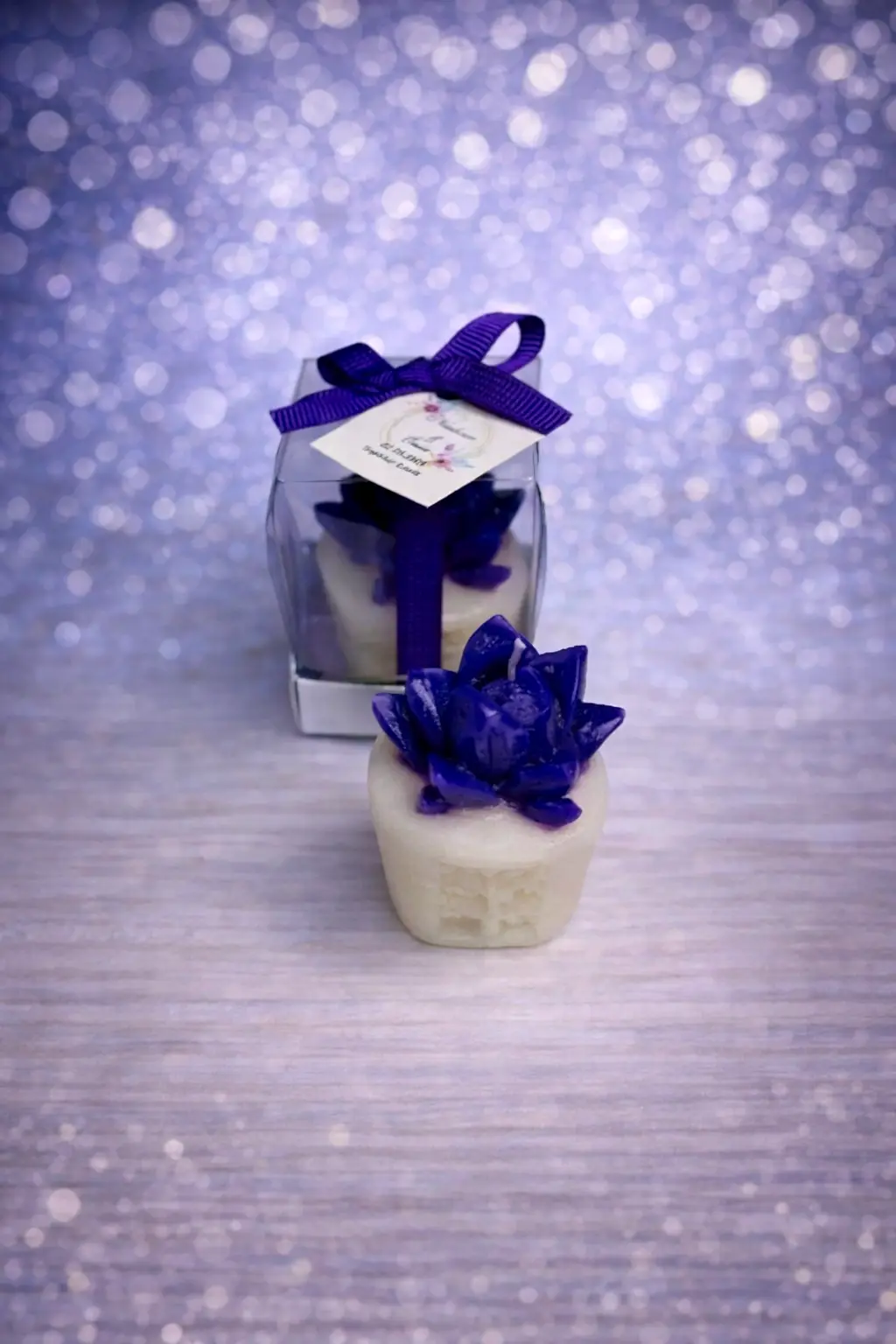 Sukulent Mum Model 3