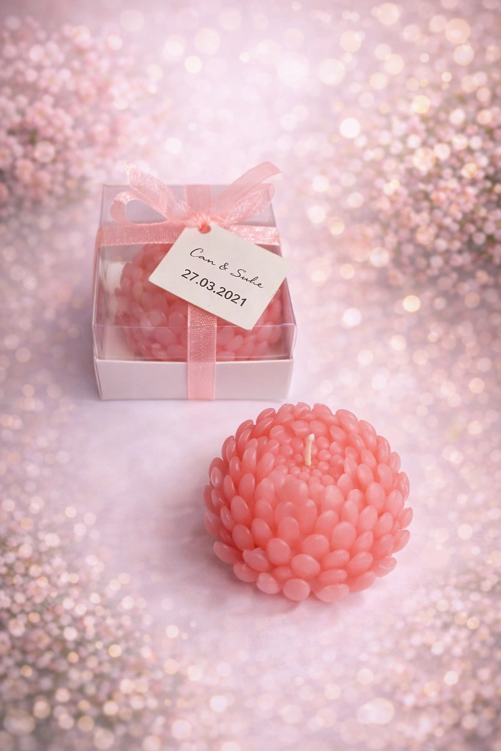 Sukulent Mum Model 15 