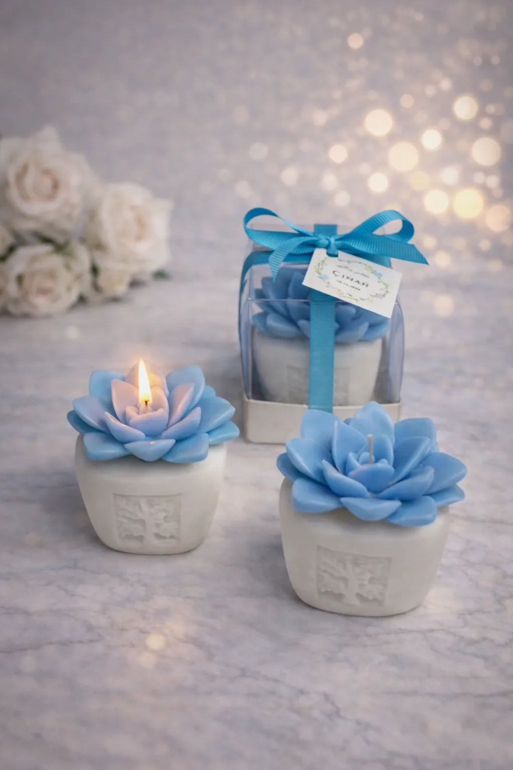 Sukulent Mum Model 6