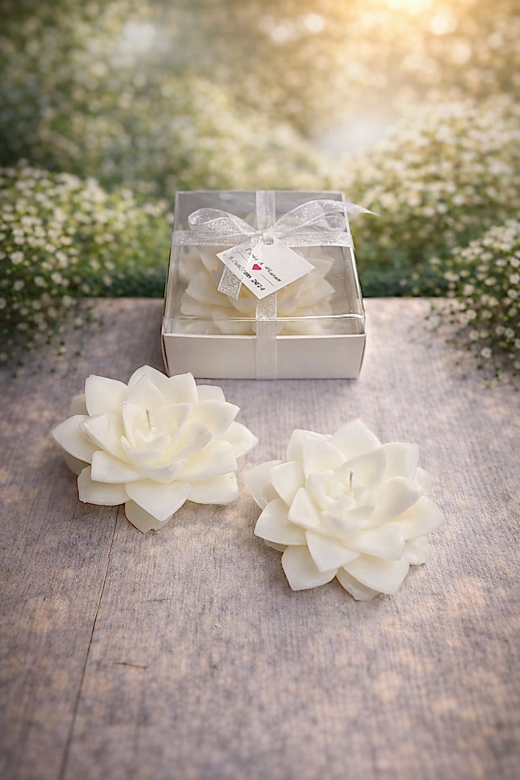 Sukulent Mum Model 8 