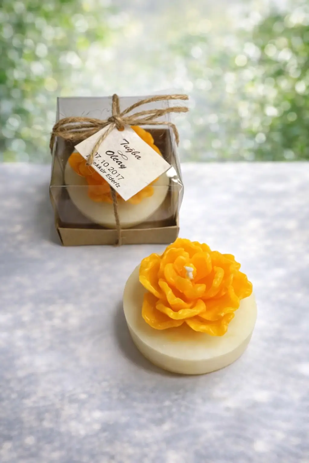 Sukulent Mum Model 13 