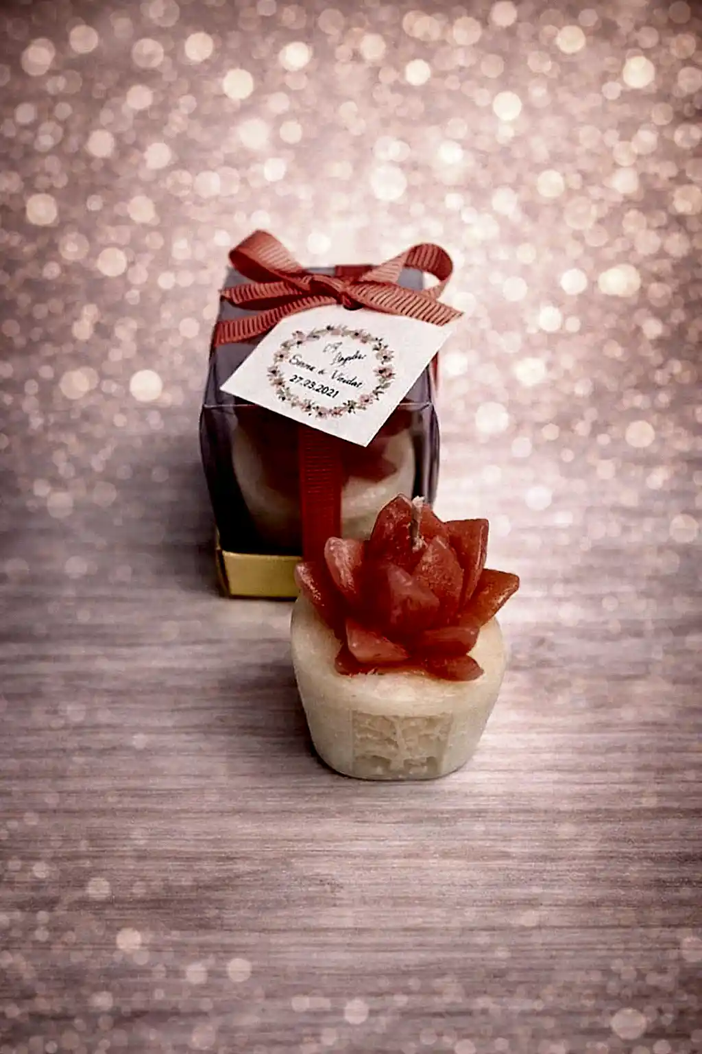 Sukulent Mum Model 3