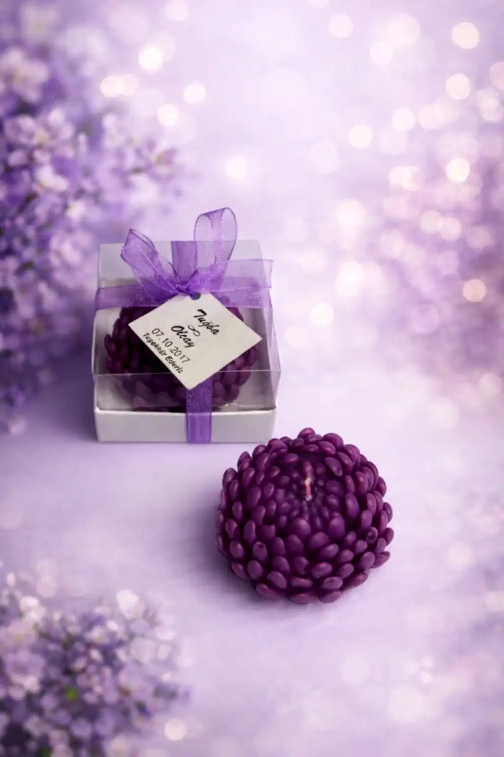 Sukulent Mum Model 15 