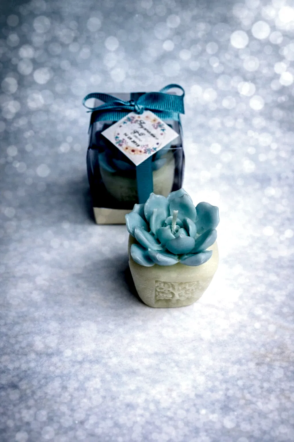 Sukulent Mum Model 7