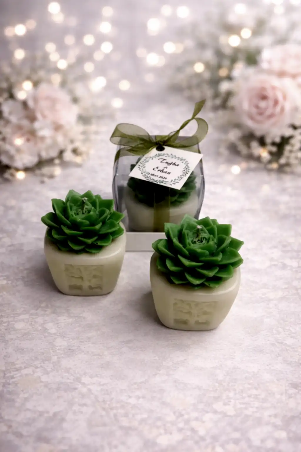 Sukulent Mum Model 4 