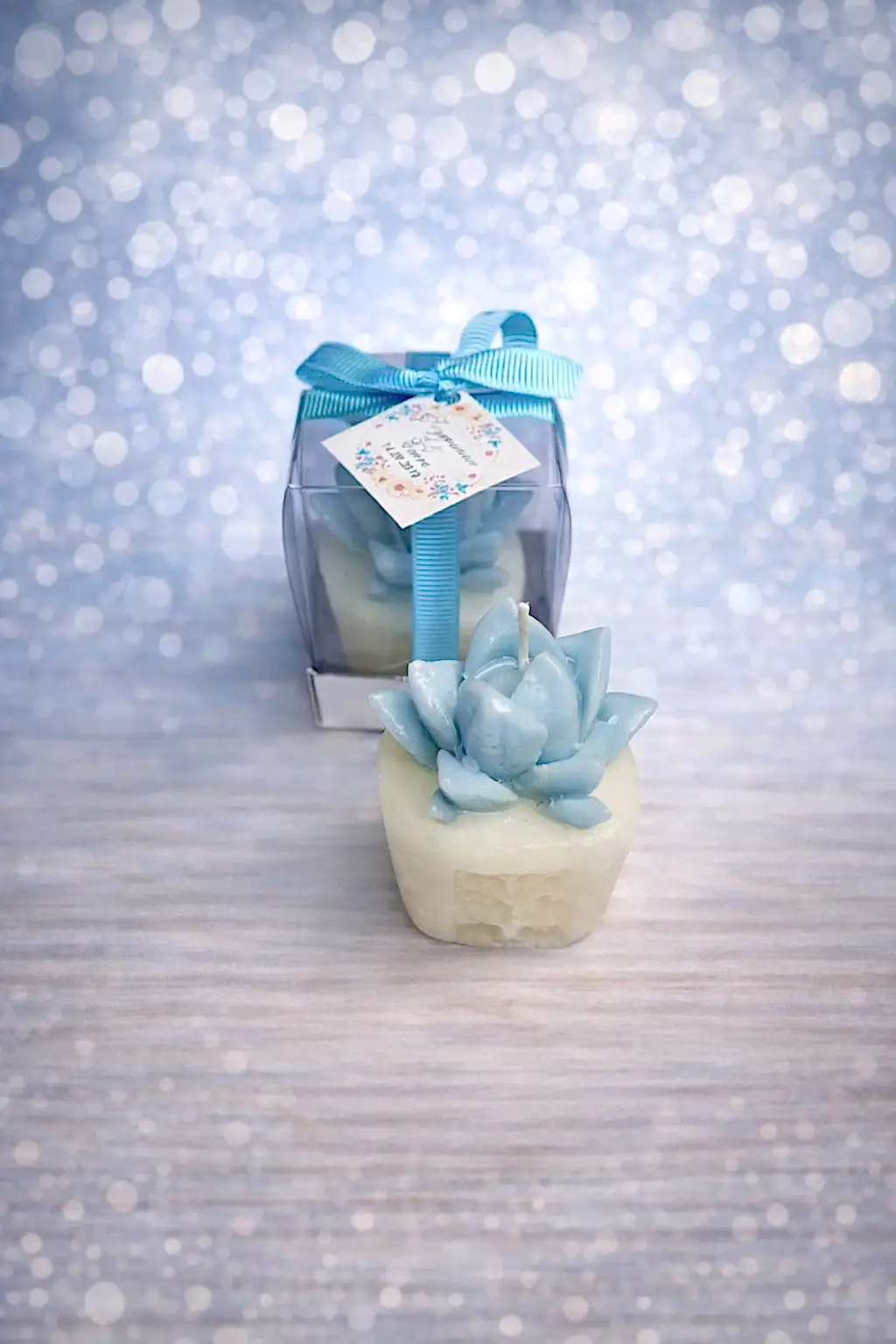 Sukulent Mum Model 3