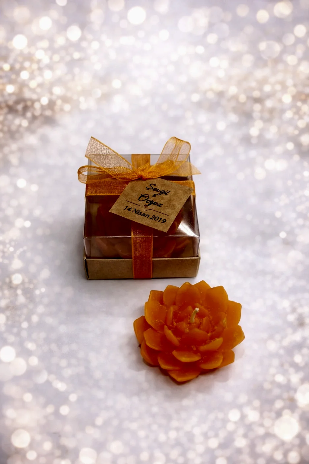 Sukulent Mum Model 10