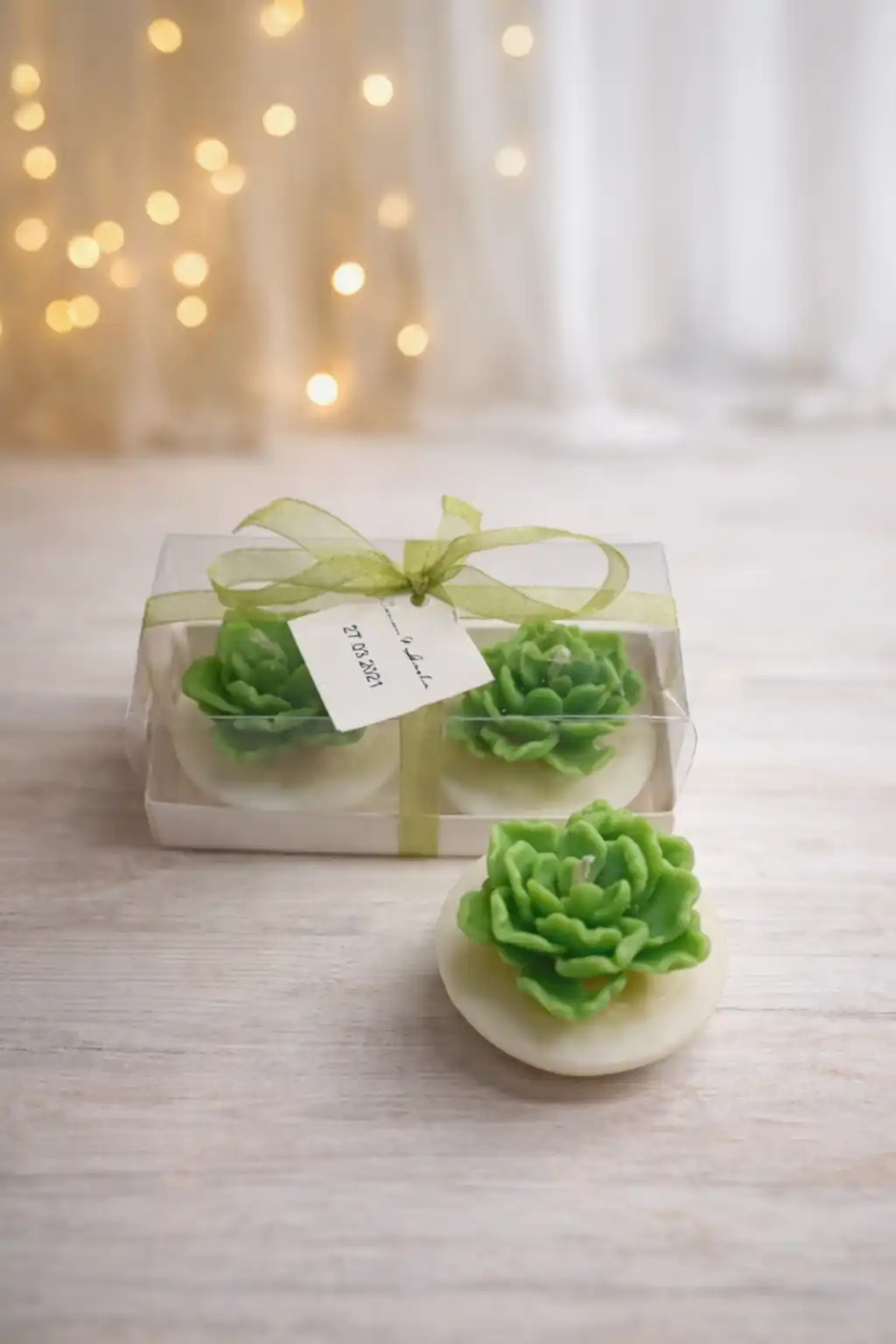 Sukulent Mum Model 13 İkili Set 