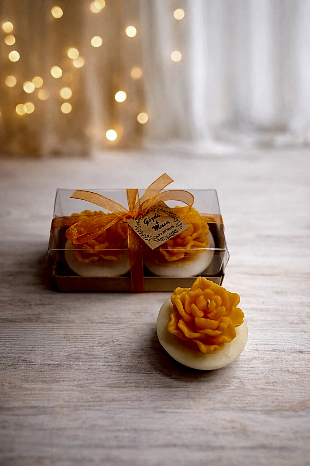 Sukulent Mum Model 13 İkili Set 