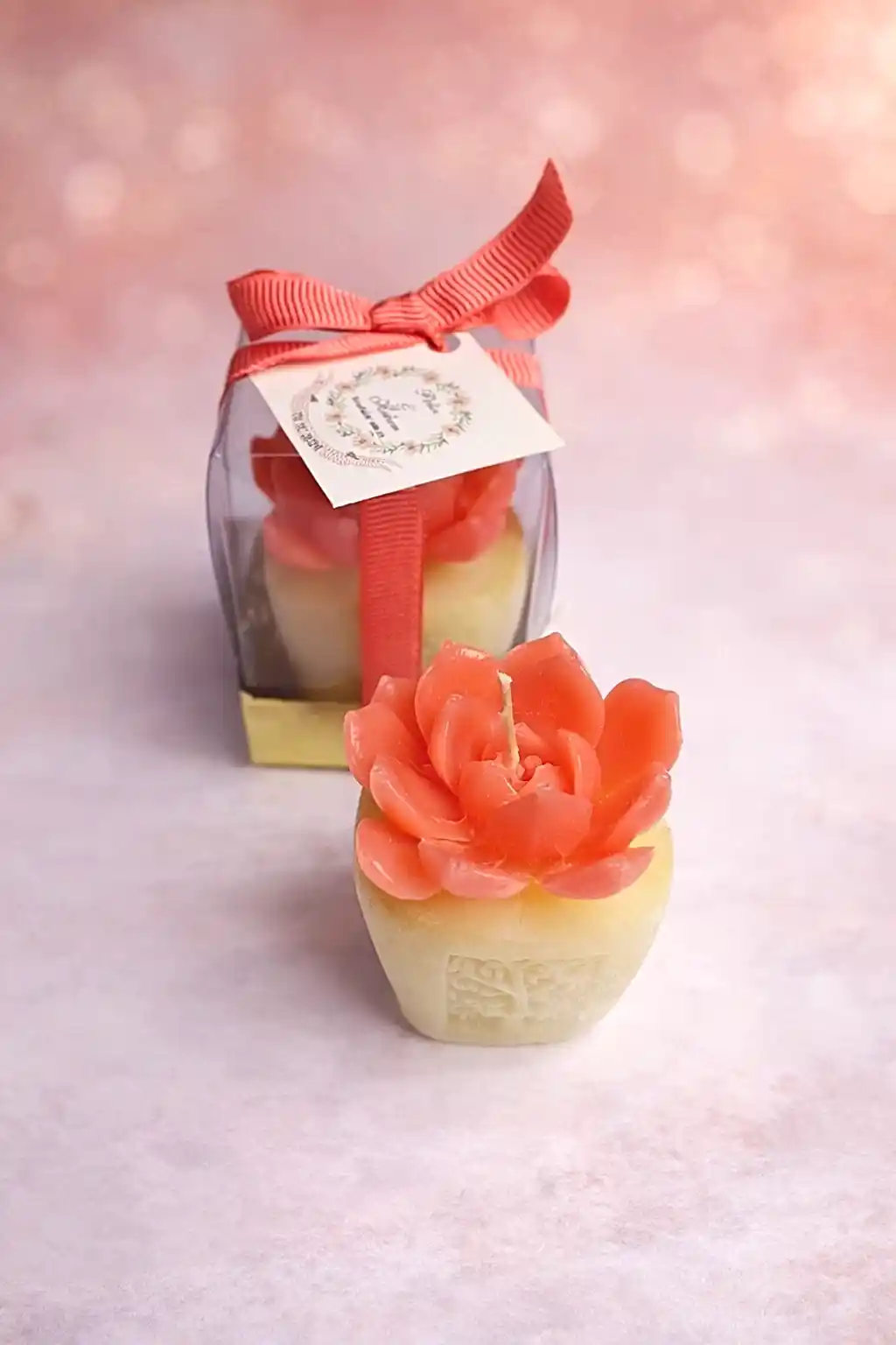 Sukulent Mum Model 7