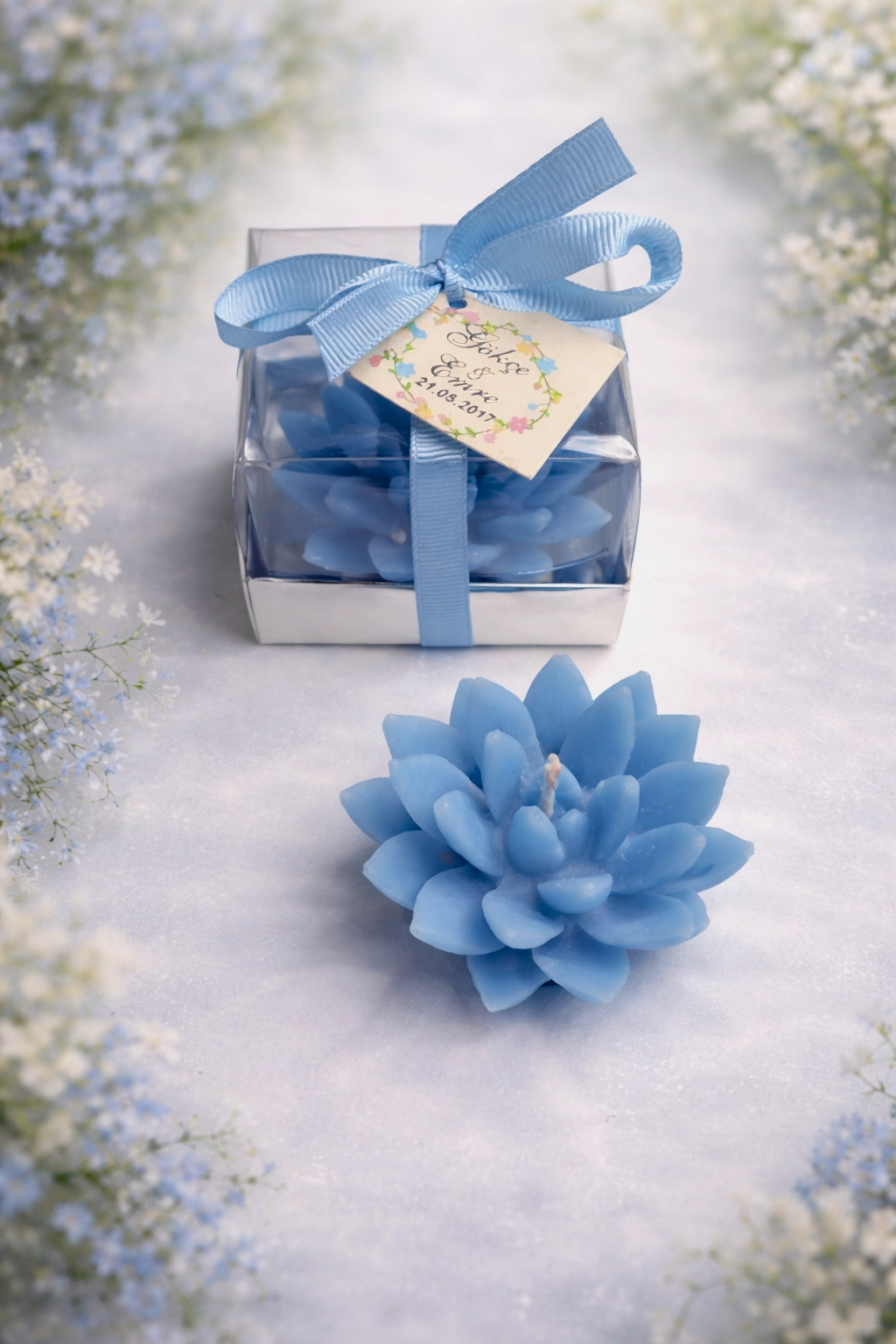 Sukulent Mum Model 12