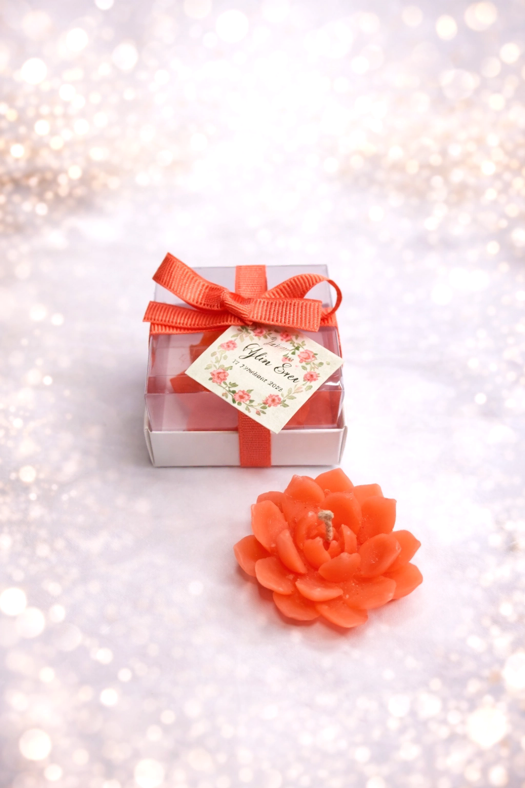 Sukulent Mum Model 10