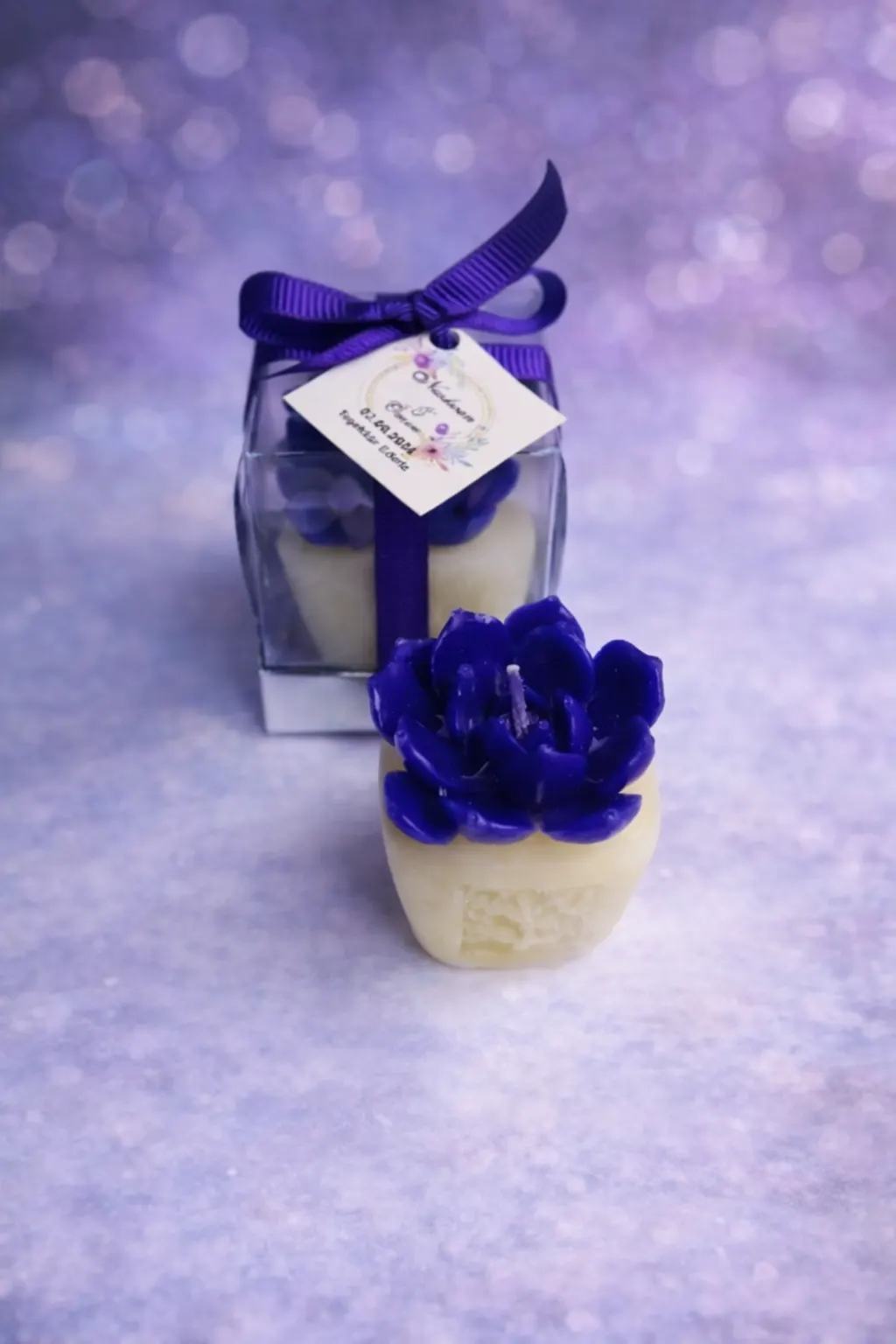 Sukulent Mum Model 7